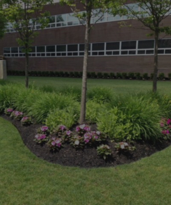 commercial landscaping nassau county long island ny