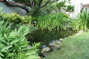 residential landscape contractor nassau county long island ny