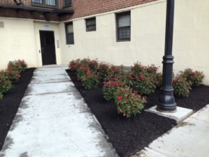 commercial landscaping contractor nassau county long island ny