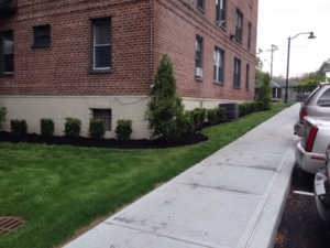 commercial landscape contractor nassau county long island ny