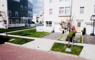 professional landscape designer