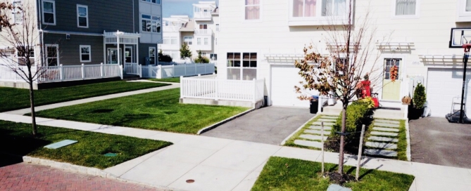 professional landscape designer