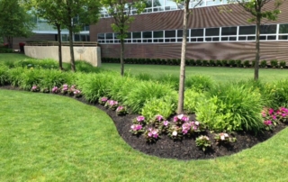 Landscape Maintenance Nassau County