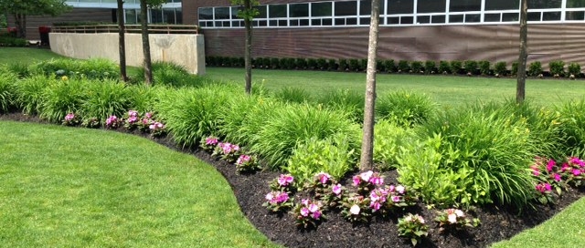Landscape Maintenance Nassau County
