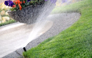 How_To Water Plants. It's About Paying Attention-plant_watering tips