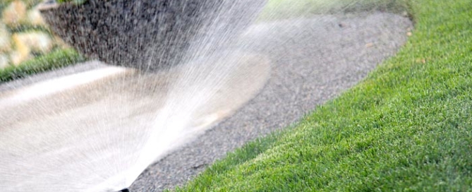 How_To Water Plants. It's About Paying Attention-plant_watering tips