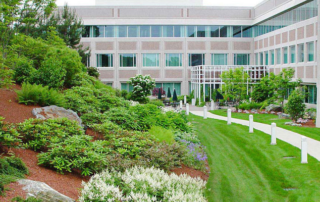Commercial Landscaping Design Queens