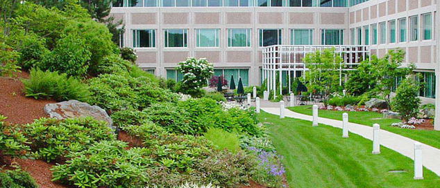 Commercial Landscaping Design Queens