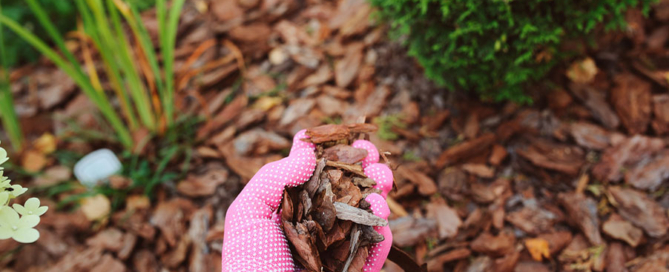 when to mulch landscape