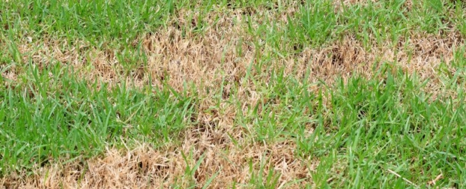 commercial landscaping long island ny