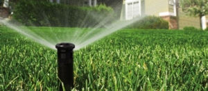 Commercial Irrigation System