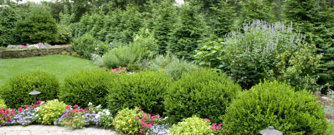 retail property landscaping Queens NY