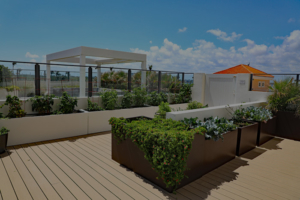 rooftop landscape and garden design manhattan nyc