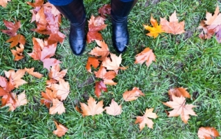 winter yard work tips cerullo landscape NY