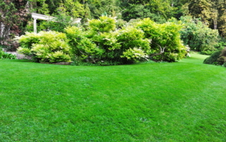 landscape design irrigation system Cerullo Landscape Long Island