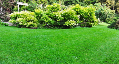landscape design irrigation system Cerullo Landscape Long Island