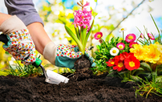 summer-gardening-and-irrigation-tips-new-york