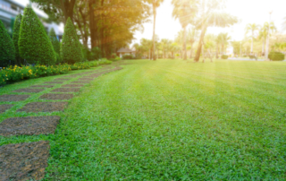 commercial irrigation contractor long island new york city