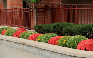 commercial property curb appeal landscape irrigation maintenance contractor nassau county ny
