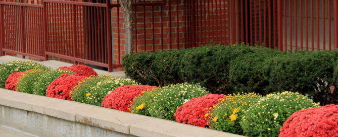 commercial property curb appeal landscape irrigation maintenance contractor nassau county ny