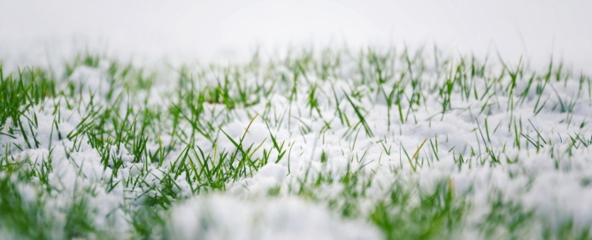 mowing the lawn landscape maintenance in the winter season