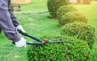 landscape maintenance service nassau county