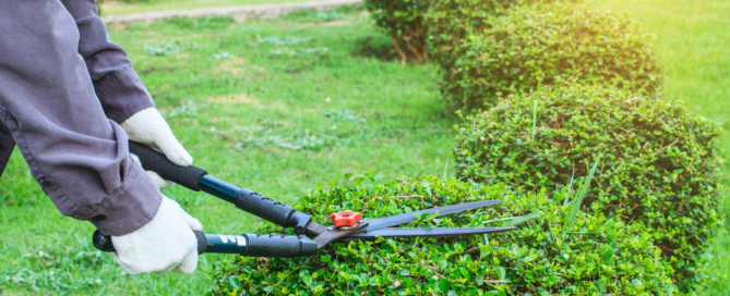 landscape maintenance service nassau county