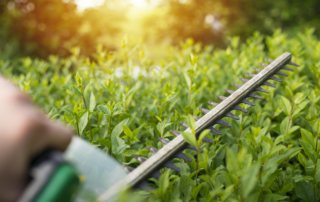 landscape maintenance company
