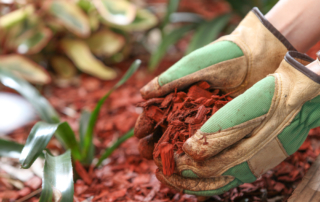 commercial landscape contractor company nyc mulch tips