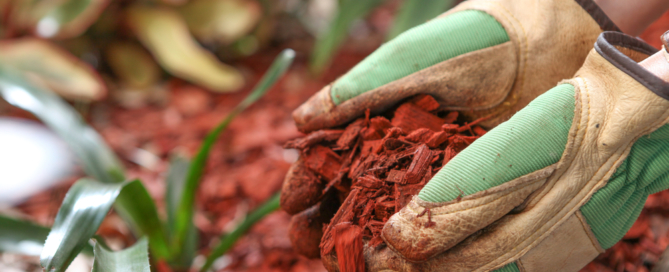 commercial landscape contractor company nyc mulch tips