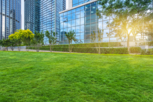 professional commercial landscaping contractor nyc