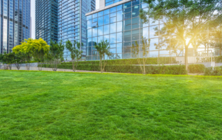 professional commercial landscaping contractor nyc