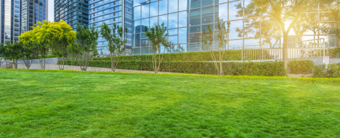 professional commercial landscaping contractor nyc