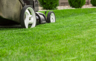 commercial residential lawn care professional contractor nyc