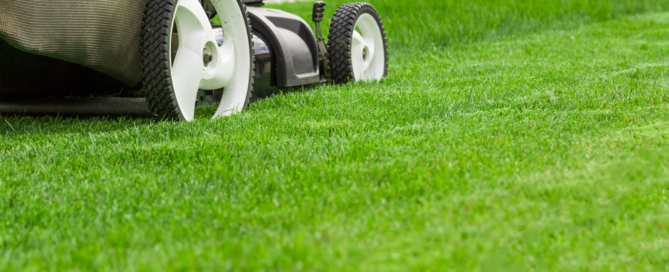 commercial residential lawn care professional contractor nyc
