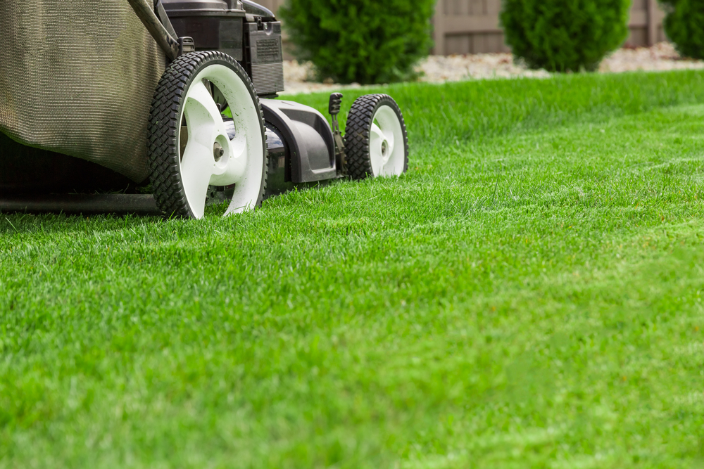 commercial residential lawn care professional contractor nyc