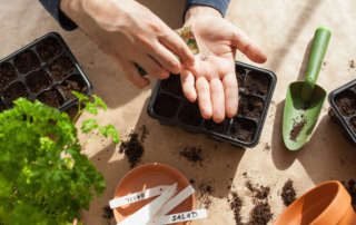 indoor-gardening-tips