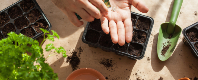 indoor-gardening-tips