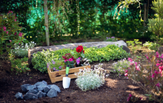 spring-landscaping-planning-commercial-residential-landscaping-design-nassau-county