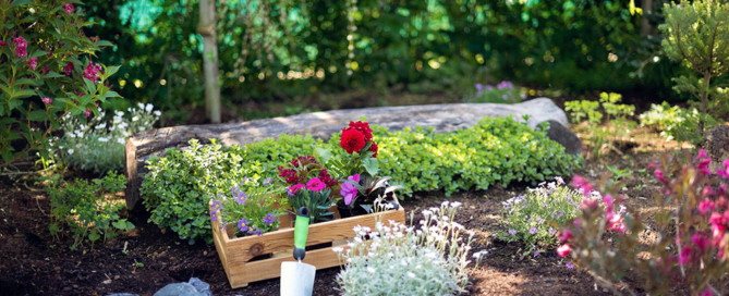 spring-landscaping-planning-commercial-residential-landscaping-design-nassau-county