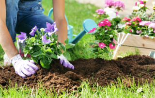 spring-summer-gardening-tips-residential-landscaping-tips-nassau-county-long-island