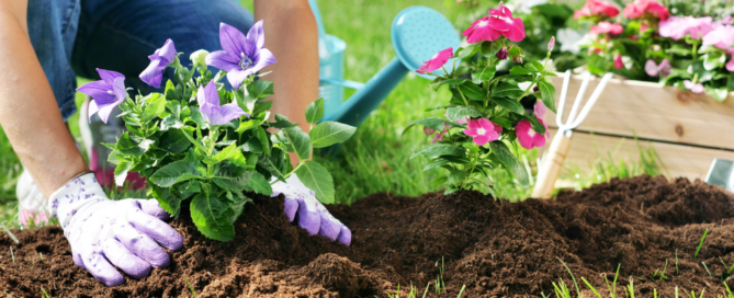 spring-summer-gardening-tips-residential-landscaping-tips-nassau-county-long-island