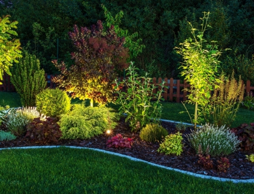 Outdoor Lighting for Your Landscape