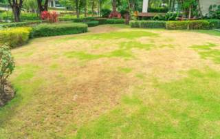 residential-commercial-landscaping-company-nyc-nassau-county