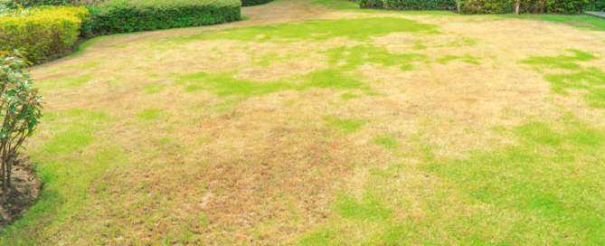 residential-commercial-landscaping-company-nyc-nassau-county