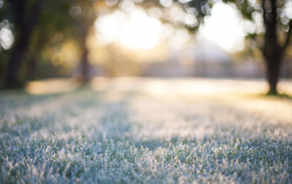 fall-landscape-tips-commercial-residential-landscape-contractors-nassau-county-ny