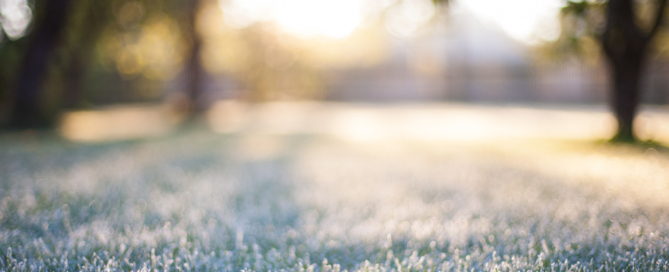 fall-landscape-tips-commercial-residential-landscape-contractors-nassau-county-ny