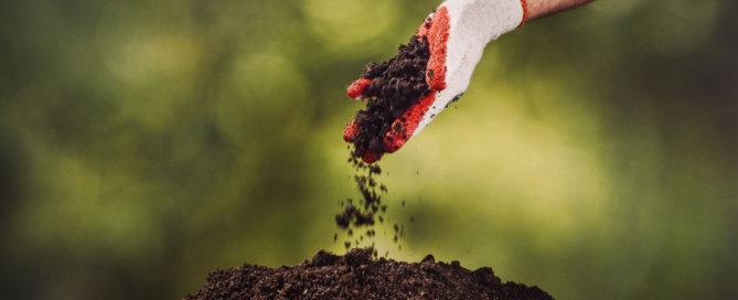 professional-lawn-care-landscaper-nassau-county-long-island-ny