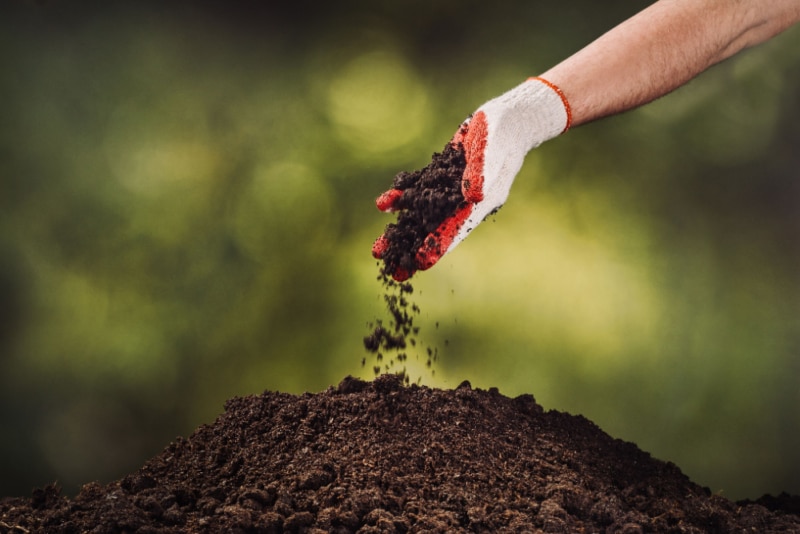 Helpful Fall Fertilizing Tips Cerullo Landscape & Irrigation