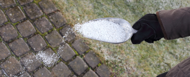 lawn-care-tips-salt-damage-commercial-residential-landscaping-company-nassau-county-long-island